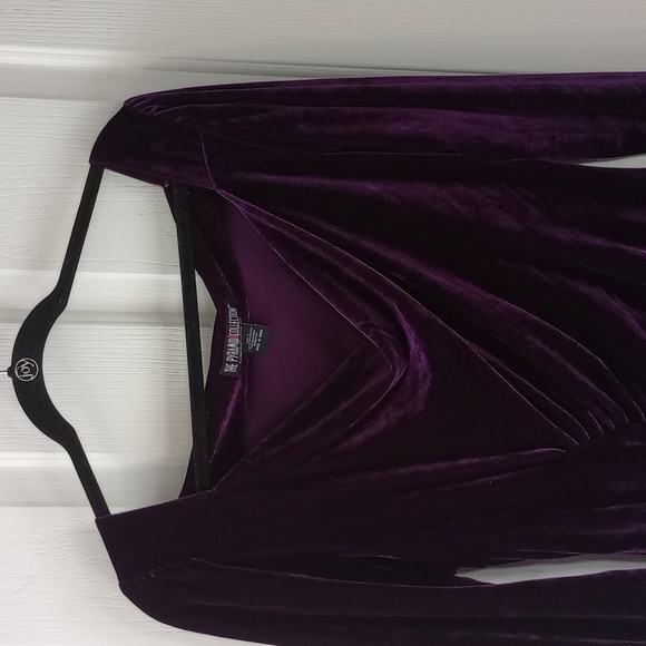 PYRAMID COLLECTION RENAISSANCE ELEGANT DEEP PURPLE VELVET MAXI DRESS SZ L - Picture 4 of 9